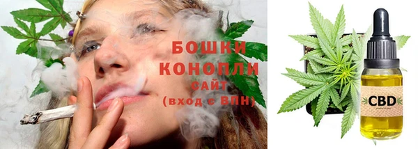 стаф Верхний Тагил