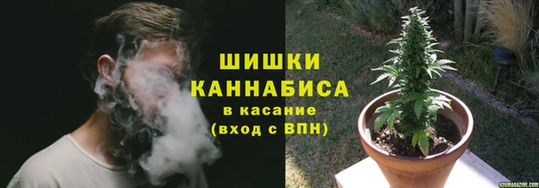 прущие грибы Верхнеуральск