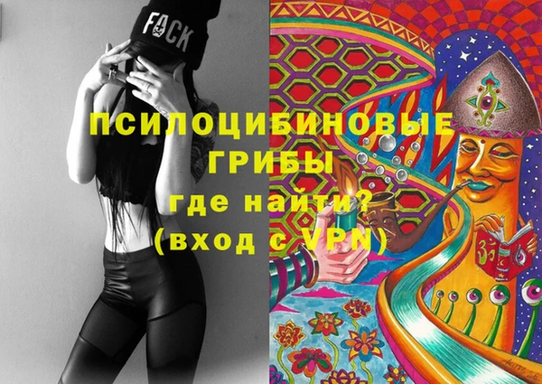 стаф Верхний Тагил