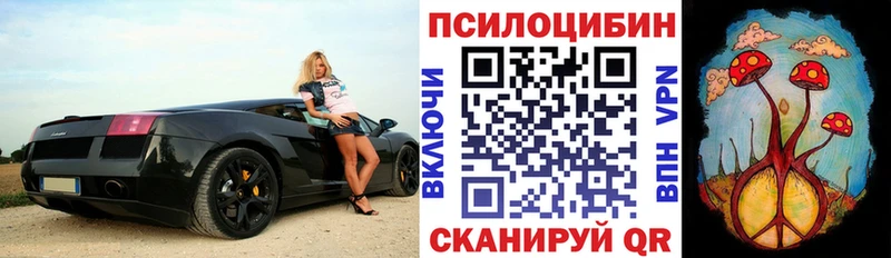 Галлюциногенные грибы Cubensis  купить наркотики цена  Эртиль 